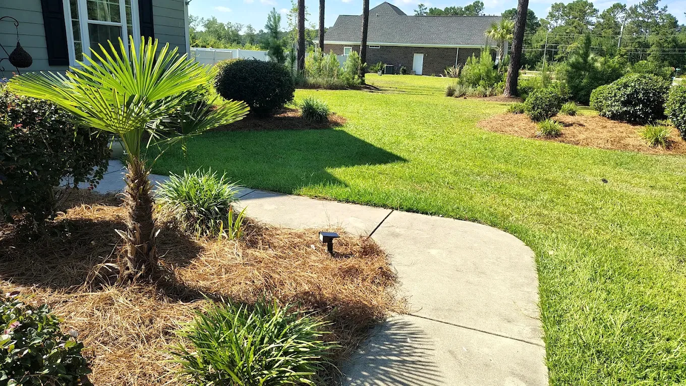Fresh lawn and landscape bed finish