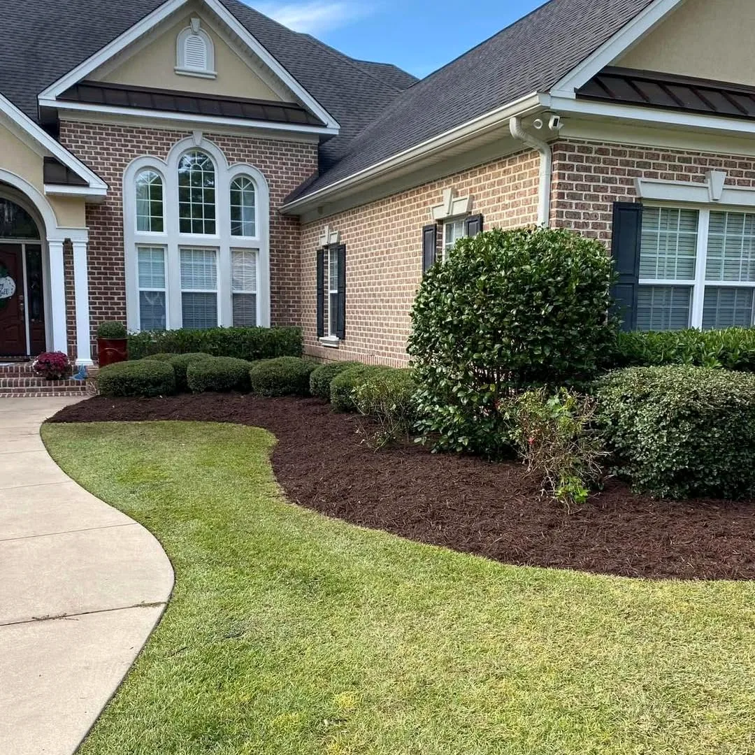 Landscape cleanup