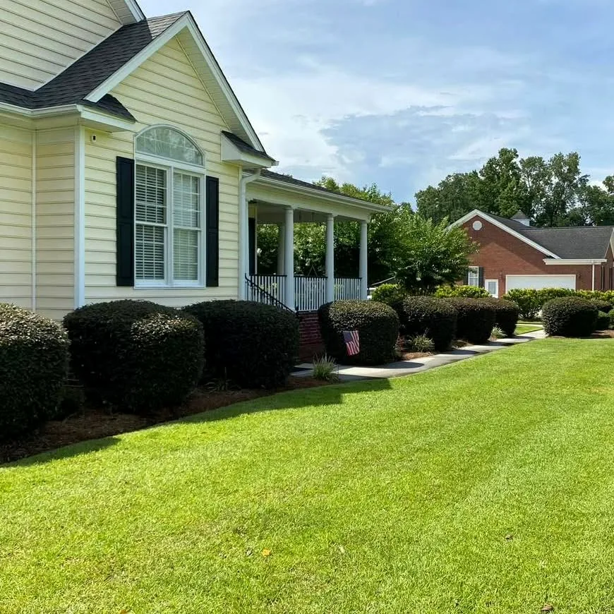 Routine Lawn Care