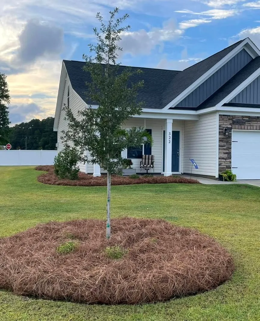 Pine Straw & Mulch Refreshes