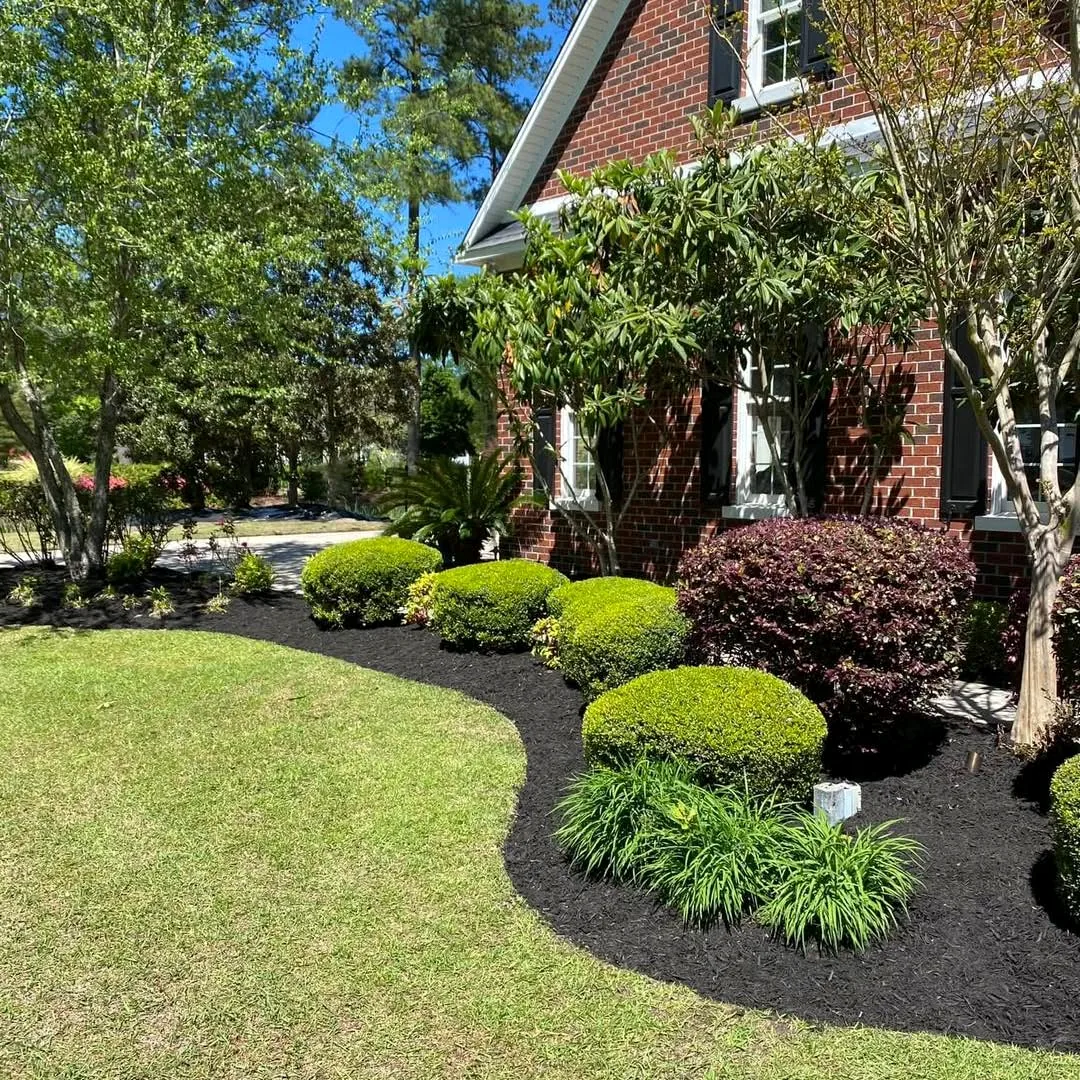 Bed Edging & Cleanups